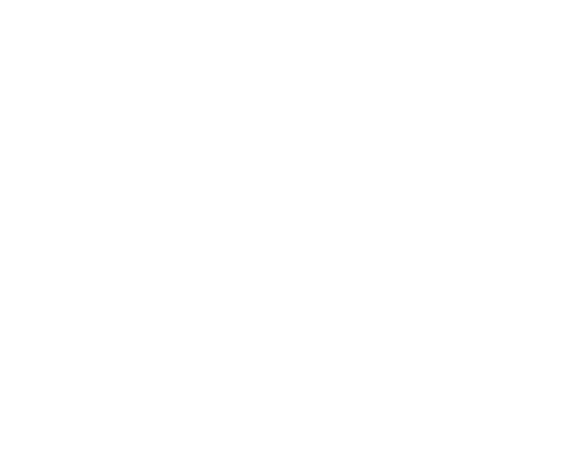 Vertice 4D Group